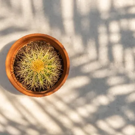 K-homes Superior Double Tínos