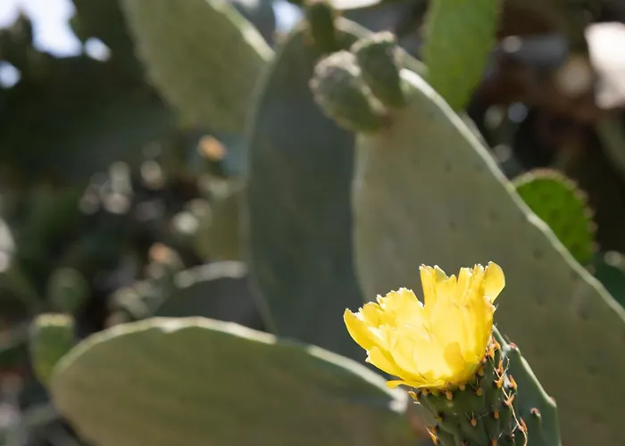 K-homes Superior Double