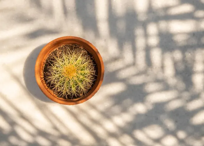 K-homes Superior Double Tínos